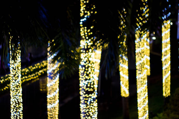 istock Decorative outdoor string lights hanging on tree in the garden at night time 1034341688