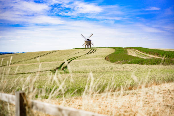 Old Windmill in Wheat Field, UK