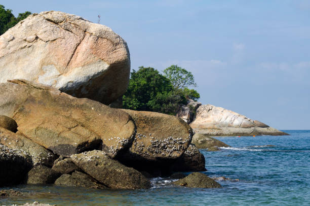 istock Beautiful tropical beach at sunny day with blue sky background 1034348676