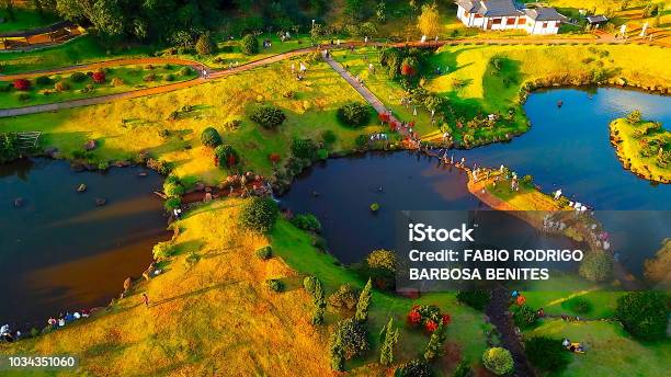 Japan Park Maringá Stock Photo - Download Image Now - Brazil, Blue, Forest