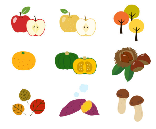 秋の味覚・秋葉のアイコンを設定 - squash pumpkin orange japanese fall foliage点のイラスト素材／クリップアート素材／マンガ素材／アイコン素材