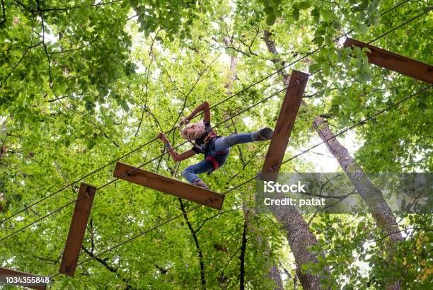 Tree Climbing Adventure Park Stock Photo - Download Image Now - Amusement Park, Teenager, Treetop