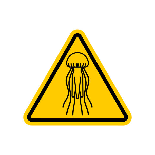 istock Attention Jellyfish. Caution yellow road sign Marine animal. Vector illustration. 1034363252