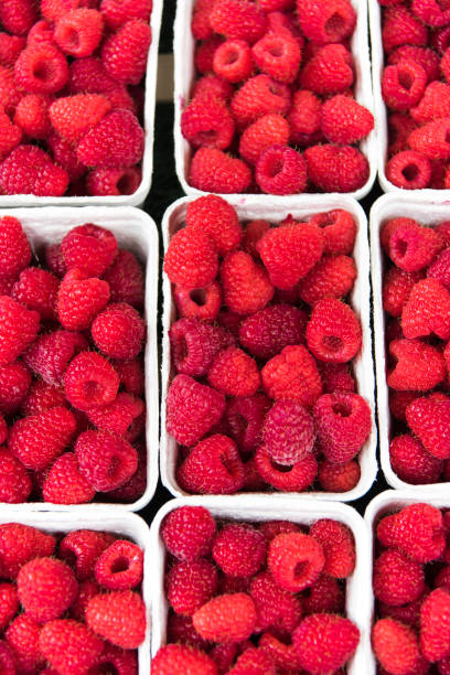 istock Fresh raspberries box sold in a market stall 1034363304