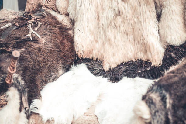 istock Winter is coming. Animal fur background 1034376350