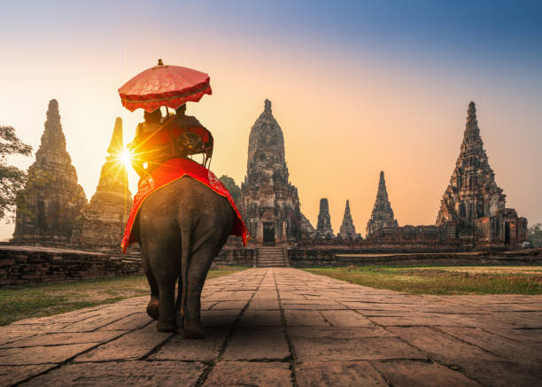 os turistas com um elefante no templo de wat chaiwatthanaram no parque histórico de ayutthaya, unesco património mundial da unesco na tailândia - província de bangkok - fotografias e filmes do acervo