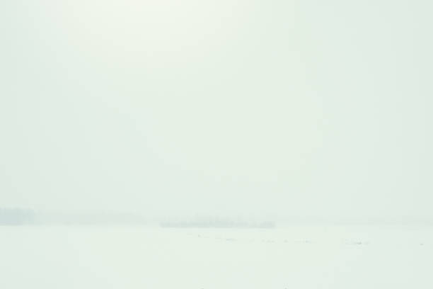 Winter landscape in a snowstorm. Very poor visibility of the winter landscape. Background for Your design.