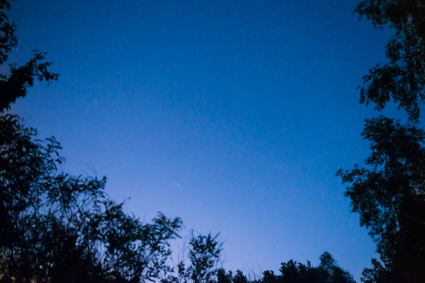 istock Sunset and night dark blue sky in forest 1034402934