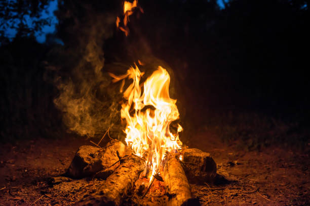istock Bonfire near water in forest 1034402960