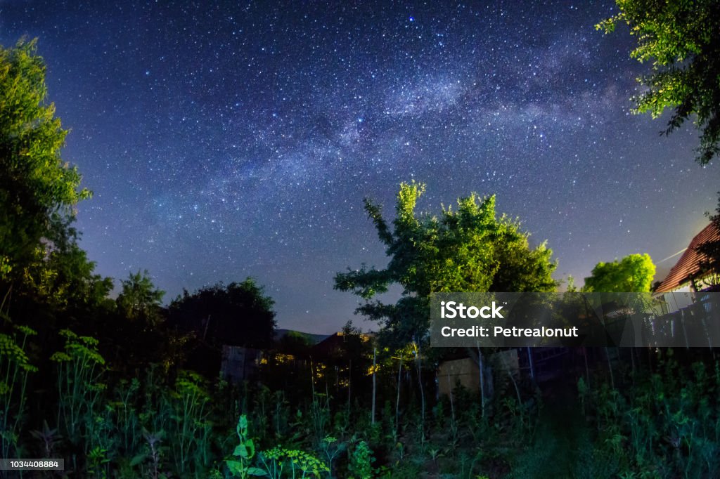 Night shot with the milky way galaxy in a garden Milky way galaxy night shot in the garden with the fisheye lens Night Stock Photo