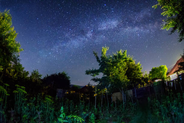 Night shot with the milky way galaxy in a garden stock photo
