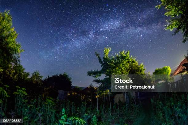 Night Shot With The Milky Way Galaxy In A Garden Stock Photo - Download Image Now - Night, Landscape - Scenery, Scenics - Nature