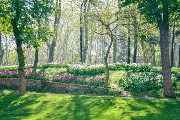 istock Gulhane Park  in  Istanbul 1034414770