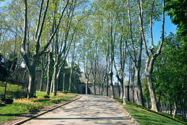 istock Gulhane Park  in  Istanbul 1034414772