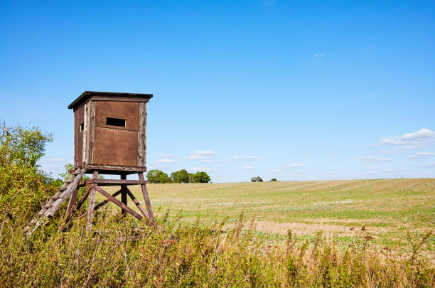 istock Wooden deer hunting pulpit in autumn 1034414888