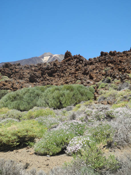 istock Roques de Garcia and TEide, Tenerife 1034415050