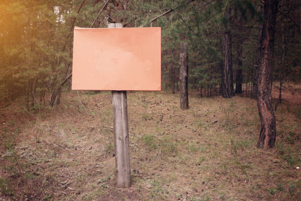 istock blank sign in the woods 1034427426