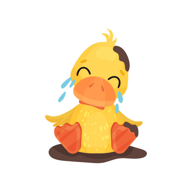 Cute little yellow duckling character sitting in a mud puddle and crying vector Illustration on a white background Cute little yellow duckling character sitting in a mud puddle and crying vector Illustration isolated on a white background. cute newborn duckling stock illustrations