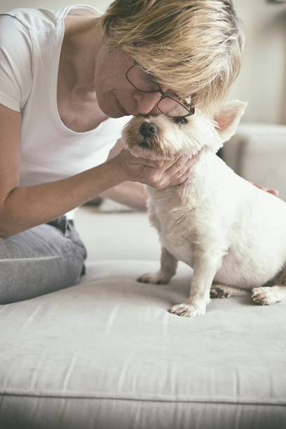 istock Old woman kissing a dog 1034428084