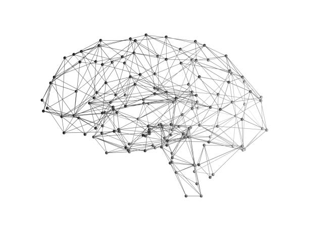 人工知能技術コンセプト、3 d の抽象的なイラストの形に白い背景の上の人間の脳のデジタル データとネットワーク接続 - clear thinking ストックフォトと画像