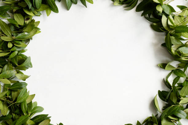 istock periwinkle leaves wreath green foliage circle 1034442878