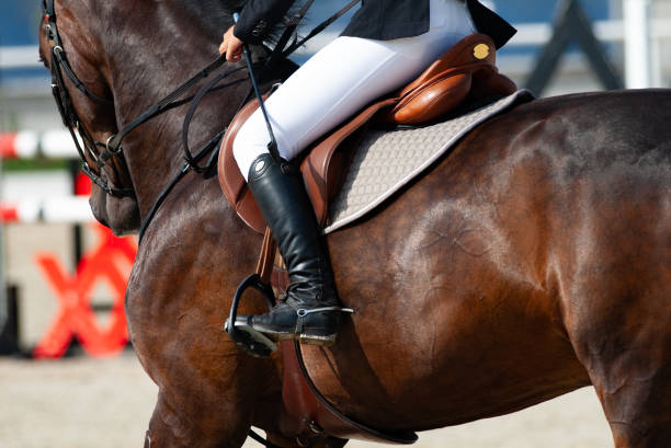 istock Rider on a bay sportive horse 1034454870