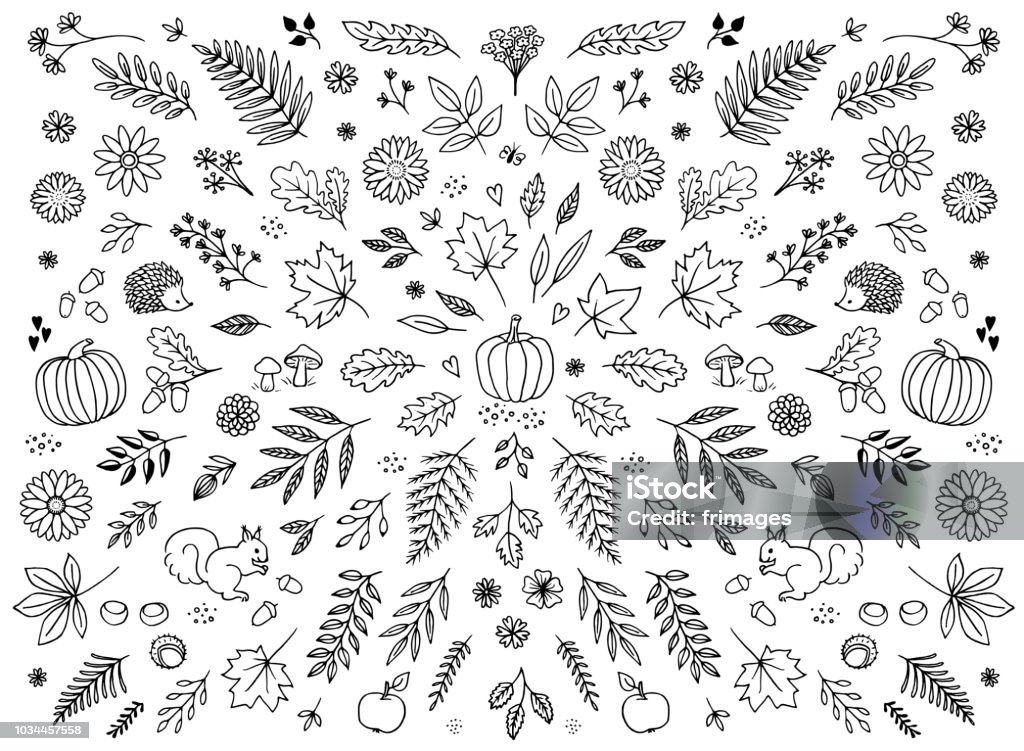 Les éléments floraux dessinés à la main pour l’automne - clipart vectoriel de Automne libre de droits