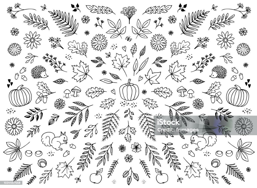 Hand drawn floral elements for autumn Hand drawn floral elements for autumn / fall - seasonal leaves, flowers and plants for text decoration Autumn stock vector