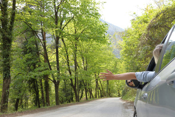 istock Woman drives along sunny tree-lined road 1034458040