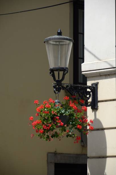 istock Ljubljana, Slovenia 1034458292