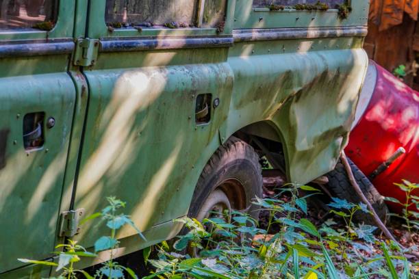 Picture shows a damaged safari car in the forest.