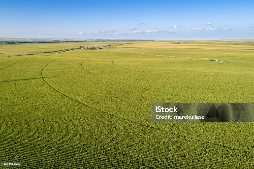 corn field aerial view aerial view of corn field with sprinkler, silo, and farm buildings in eastern Colorado Farm Stock Photo
