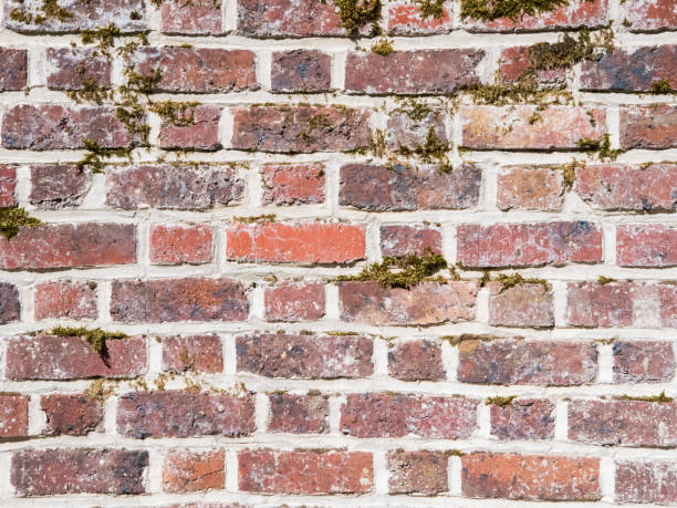 vieux mur de briques - brick wall brick surrounding wall wall photos et images de collection