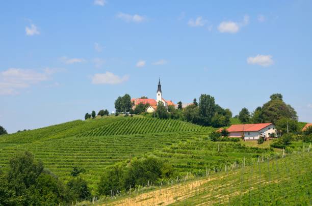 istock Jeruzalem and around, Slovenia 1034482160