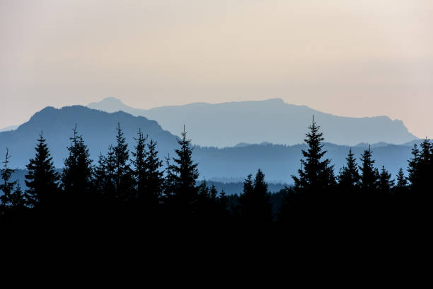 Forest Mountain Range Scene at Sunrise. stock photo