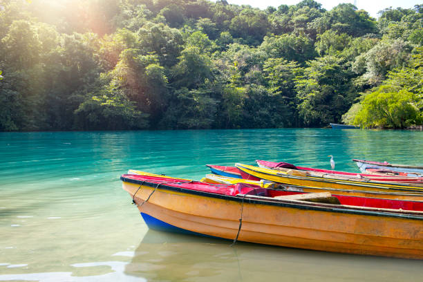 barcos nacionales de la laguna azul, jamaica. - agua de jamaica fotografías e imágenes de stock