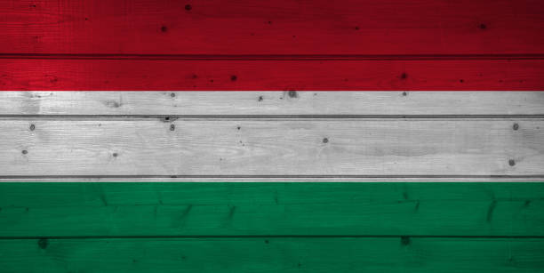 bandiera dell'ungheria su sfondo legnoso, superficie. parete di legno, assi. bandiera nazionale. - hungary flag banner dirty foto e immagini stock