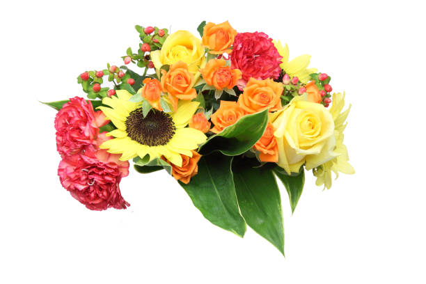 istock various kind of flowers in a white background 1034522234