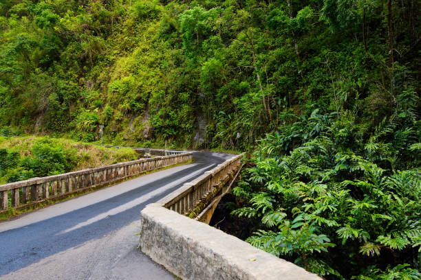 花満ちている狭い 1 車線の橋、ヘアピン カーブを信じられないほどの島の景色、マウイ島、ハワイへの有名な道 - maui waterfall hawaii islands hana ストックフォトと画像