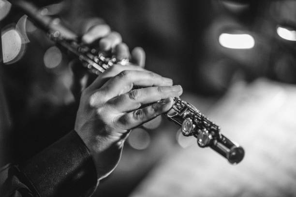 istock Playing live jazz concert: flute 1034529856