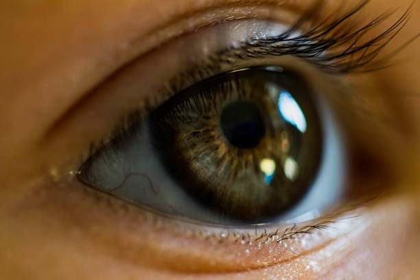 istock Beautiful greenish boy eye closeup 1034530498