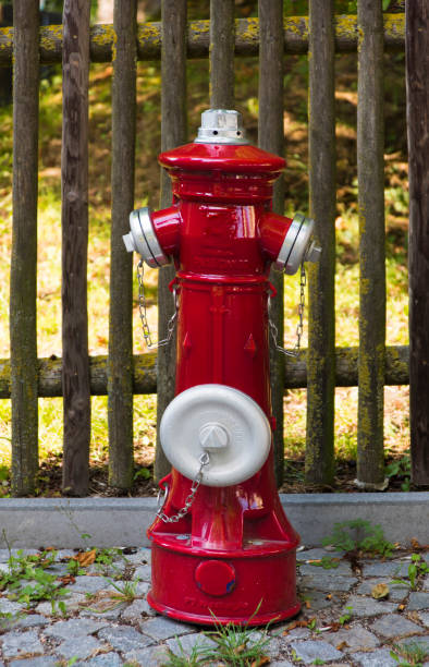 Red fire hydrant against a green lawn photo