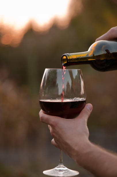 istock a glass of red dry wine at sunset 1034546374