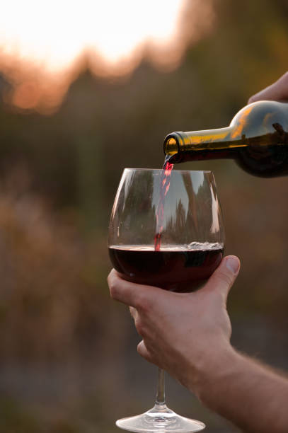 istock a glass of red dry wine at sunset 1034546398