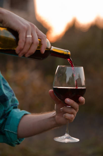 istock a glass of red dry wine at sunset 1034546442