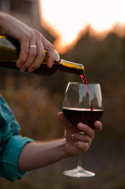 istock a glass of red dry wine at sunset 1034546462