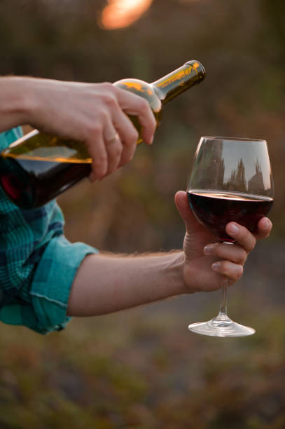 istock a glass of red dry wine at sunset 1034546496
