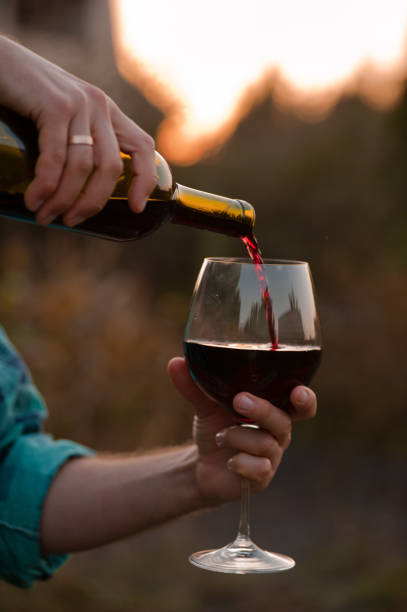 istock a glass of red dry wine at sunset 1034546498