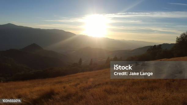 Sonnenuntergang Über Goldenen Feld Stockfoto und mehr Bilder von Sonnenuntergang - Sonnenuntergang, Baum, Feld