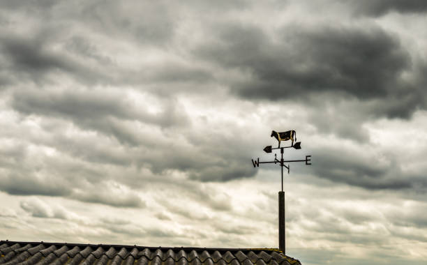 Local farm in UK, Leicester